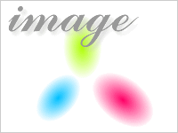 鳥獣ウルトラブロック